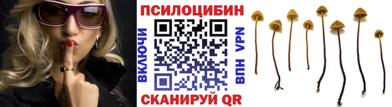 Галлюциногенные грибы MAGIC MUSHROOMS  что такое наркотик  Высоковск 